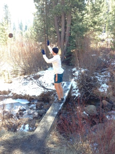 Stopping on a bridge to throw ricks on the ice