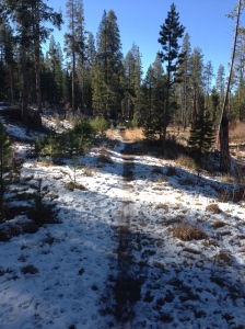 Snowy section of the trail by Alder Creek